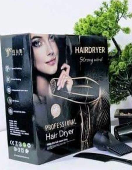 Professional Hairdryer