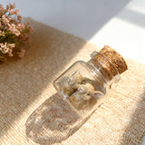https://img.kwcdn.com/product/fancy/7b72ad4c-ef75-4d88-8ca3-cbc6425a3b5e.jpg