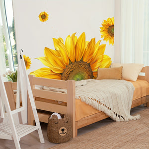 https://img.kwcdn.com/product/fancy/81e95a99-41b1-4252-80e1-9e75d923e461.jpg