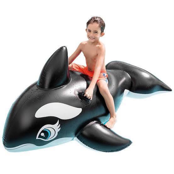 Whale Pool Tube
