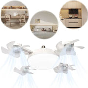 F4+ Fan Light