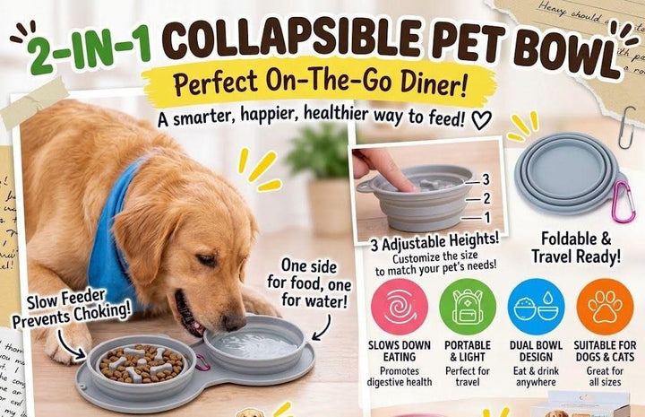 Collapsible 2-in-1 Pet Bowl