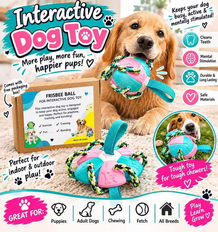 Interactive Dog Toy – Ball & Rope