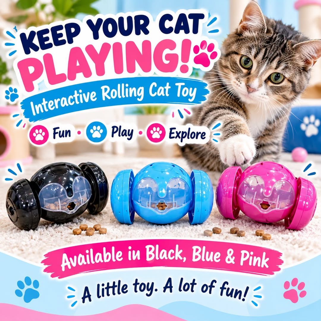 Interactive Rolling Cat Toy