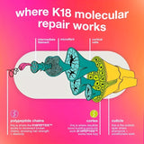 https://img.kwcdn.com/product/fancy/843ac060-9427-4c48-a58e-5d8b18d81870.jpg