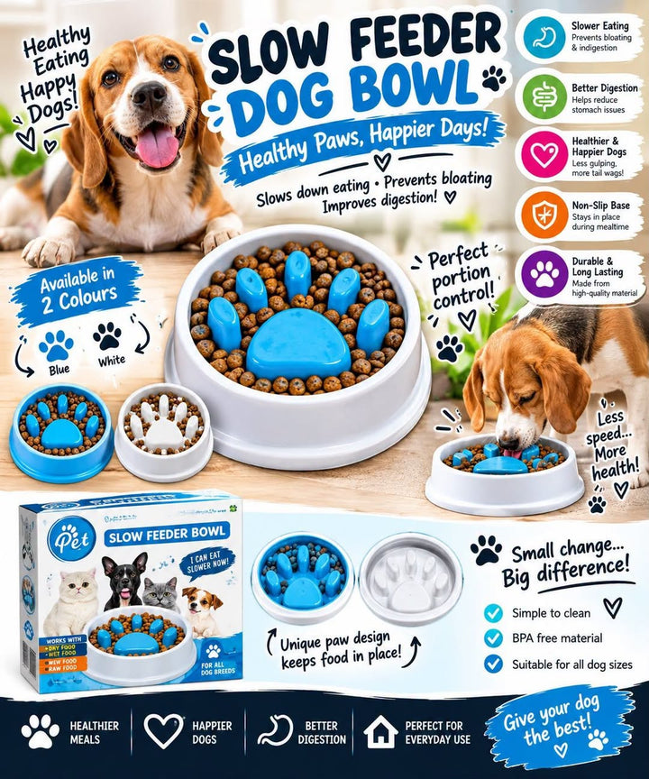Slow Feeding Dog Bowl