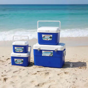 Portable Insulated Cooler Box Set – 4 Pieces