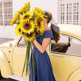 https://img.kwcdn.com/product/open/86300e195d3b4bf395412dc96f269ae5-goods.jpeg