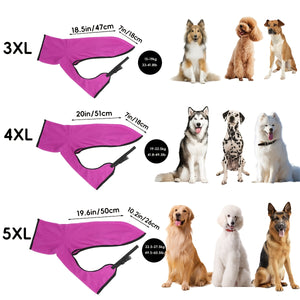 https://img.kwcdn.com/product/fancy/867c3bc3-e8c7-458e-b3c1-c62eecaba4e6.jpg