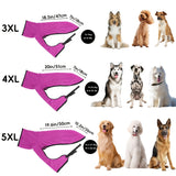 https://img.kwcdn.com/product/fancy/867c3bc3-e8c7-458e-b3c1-c62eecaba4e6.jpg