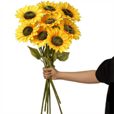 https://img.kwcdn.com/product/open/8715c96873e1444496b54f8ad616f4e5-goods.jpeg