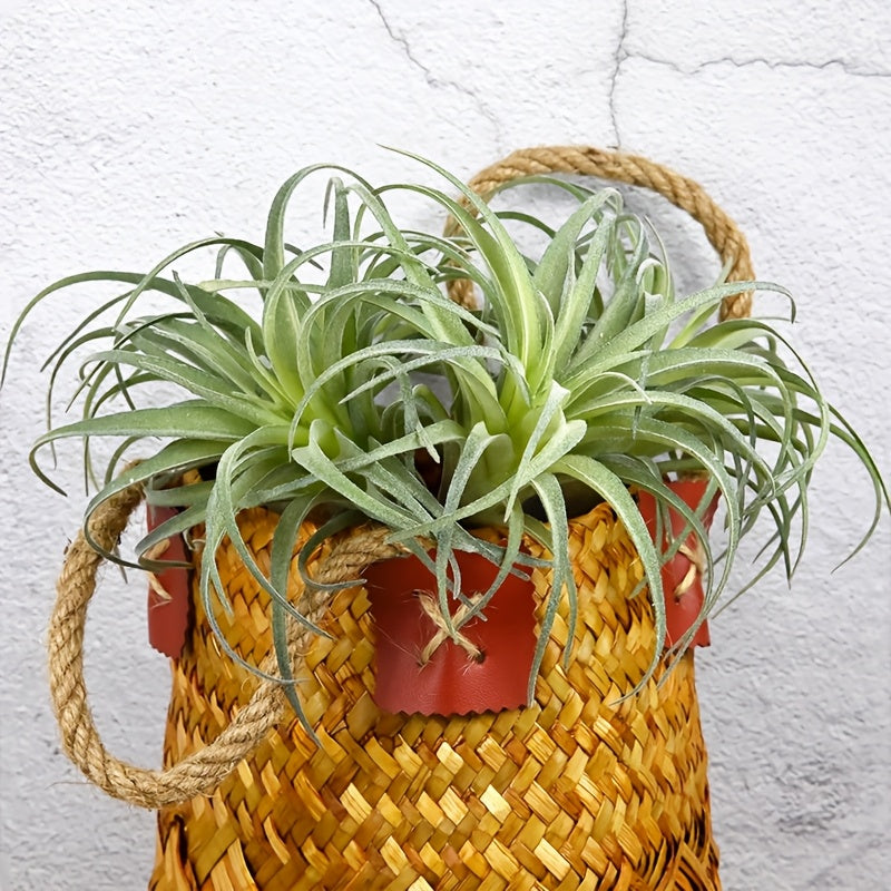 https://img.kwcdn.com/product/fancy/8c3f3166-9517-429b-8137-f7a83116ce28.jpg
