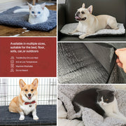 https://img.kwcdn.com/product/fancy/8d2786ca-79cb-4d30-aa3a-9c68ee0a467a.jpg