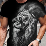https://img.kwcdn.com/thumbnail/s/90bc2be6c29afb8da2e27965394e5dfc_7514469534f6.jpeg