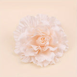 https://img.kwcdn.com/product/fancy/92590bb2-57a9-4100-a227-af6cbea6151b.jpg