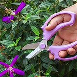 https://img.kwcdn.com/product/fancy/929b73b2-5995-4cec-9318-a0d354fe97b6.jpg