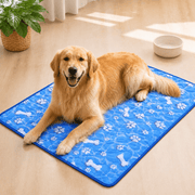 https://img.kwcdn.com/product/open/92d5e01ad4cb4e88b3f5e9d66be4f8f5-goods.jpeg