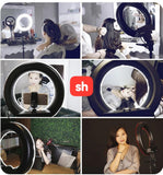 SH 10-Inch Ring Light