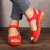 https://img.kwcdn.com/product/fancy/950a6cf0-7cf5-44a7-8faf-fa40e80779b9.jpg