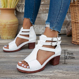 https://img.kwcdn.com/product/fancy/95a5eefe-5234-439e-bcd4-44fe9105d98e.jpg
