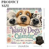 https://img.kwcdn.com/product/fancy/99417df2-10bd-46a8-a444-183a9c494e41.jpg