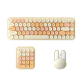 https://img.kwcdn.com/product/fancy/9c5b6fa4-2983-4960-a938-afae423552d4.jpg