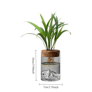 https://img.kwcdn.com/product/open/9c5ec6d206d14a729b7dd20adca0d645-goods.jpeg