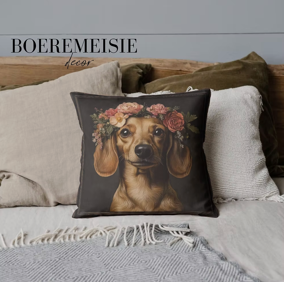 Dachshund 003