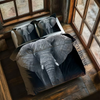 Elephant 5