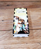 Bunny Gift Box
