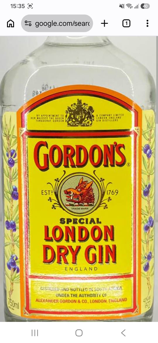 Gordons Gin & Leather Combo