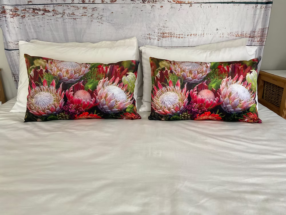 Protea Flower Set