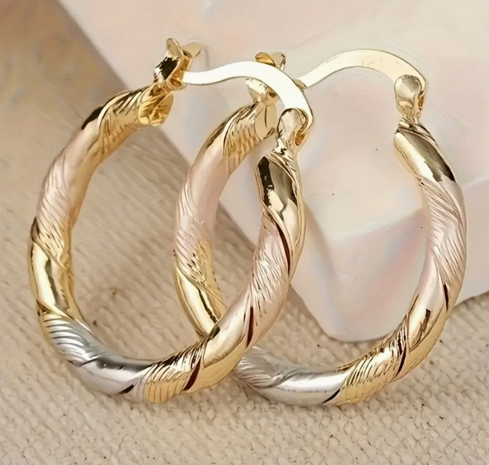Pair of Elegant Classic Twisted Earrings in Two Colors