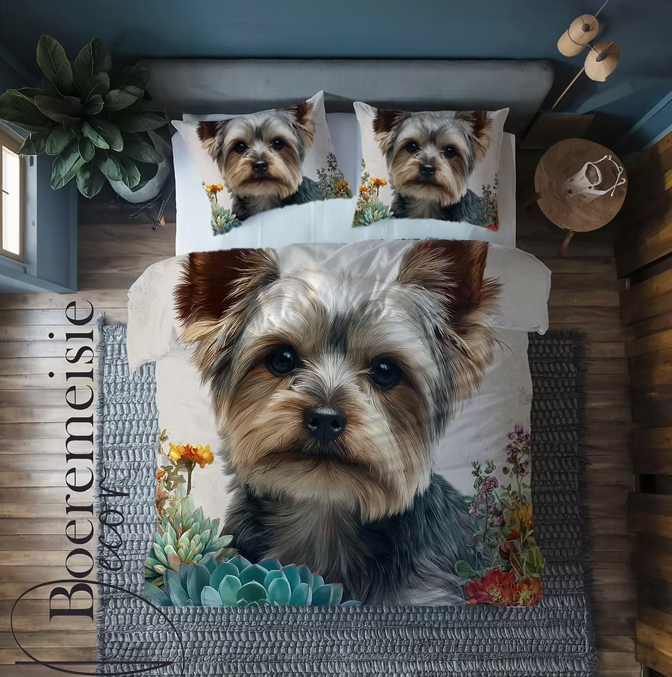 Yorkie 4