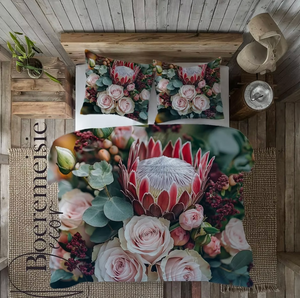 Protea 17