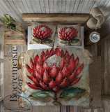 Protea 0017