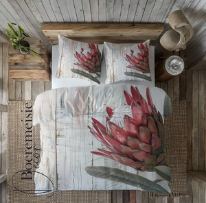 Protea 004