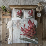 Protea 004