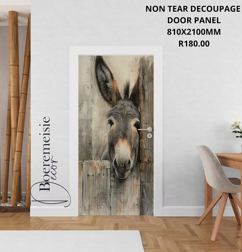 Barn Donkey