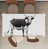 Nguni 2