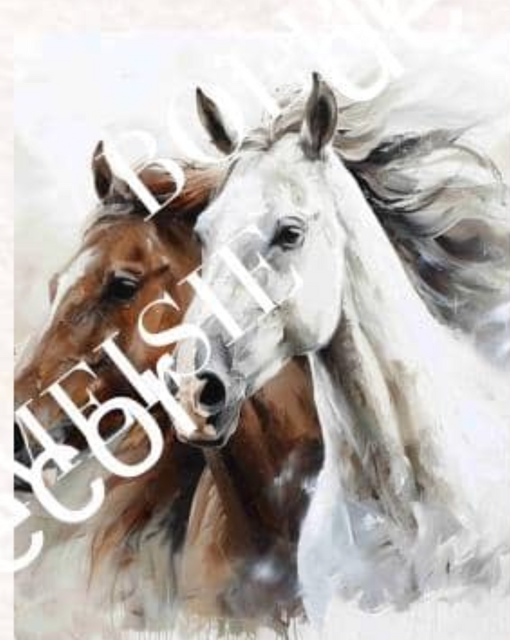 Brown and White Horses