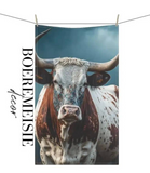Nguni Bull