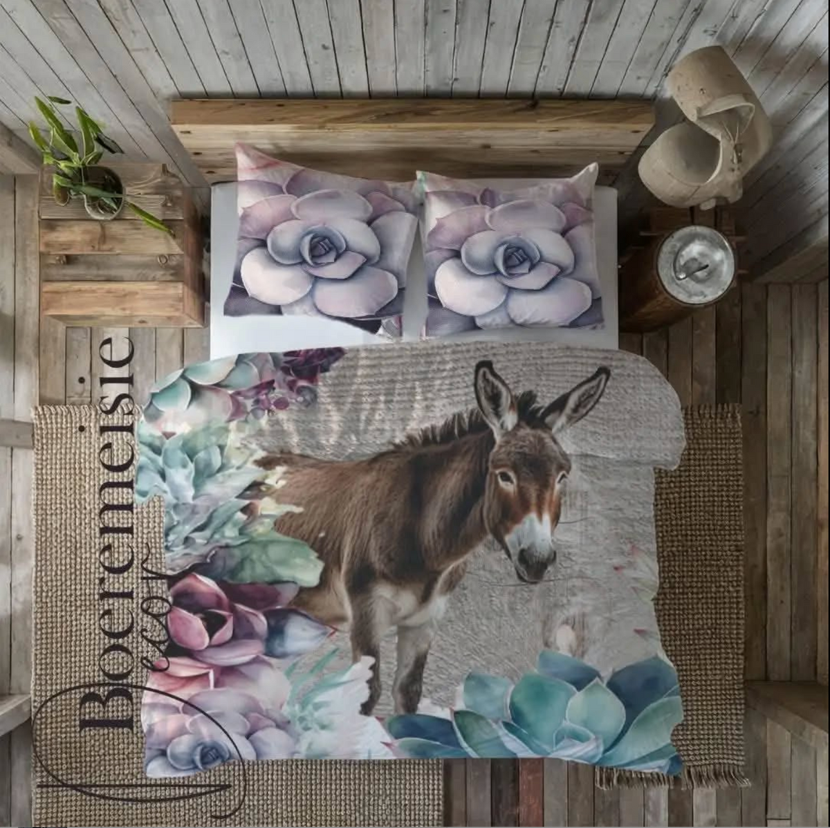 Donkey Succulents
