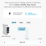 Smart WiFi Geyser timer-with energy metering -Smart Life/Tuya app