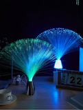 1pc Multi-Color Changing LED Fiber Optic Lamp, Novelty Lighting, Indoor Ambient Light