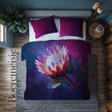 Protea purple splash