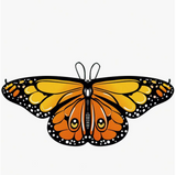 1pc Butterfly Wing Cape