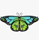 1pc Butterfly Wing Cape