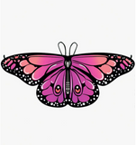 1pc Butterfly Wing Cape