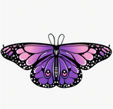 1pc Butterfly Wing Cape